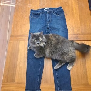 Size 30 Levi's 721 High Rise Skinny Ankle